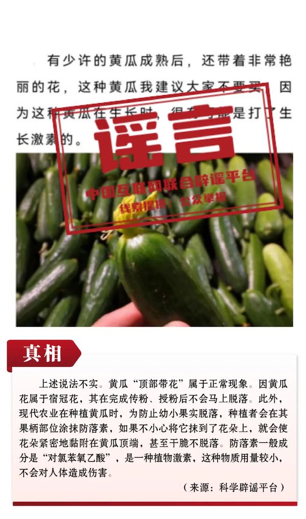 1701842853947266.jpg 10.jpg